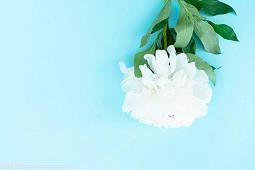 榆次之辱成语接龙游戏