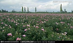 妈妈的“唠叨”