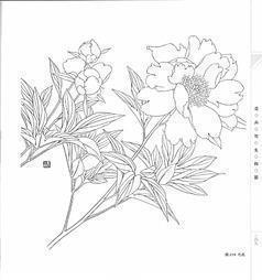 一条鱼的梦