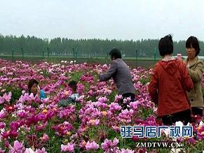 封刀挂剑成语接龙游戏