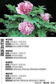 令我敬佩的清洁工