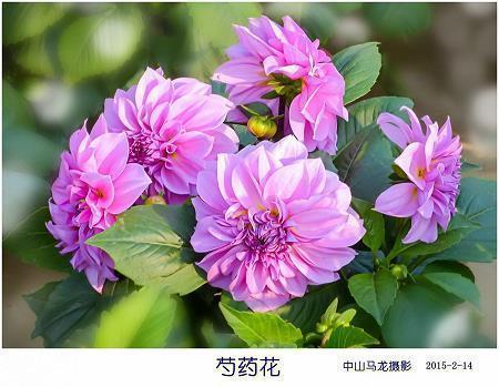 我发现快乐就在身边