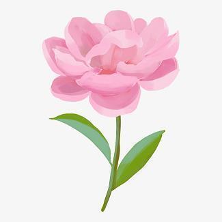 山上的松柏打一成语