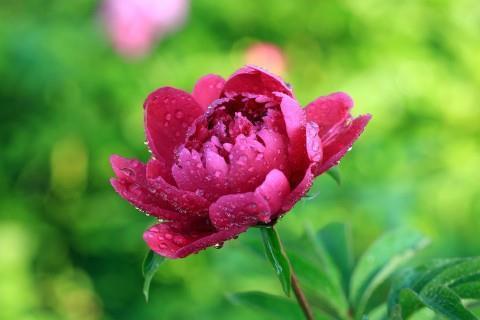 菜单打一成语