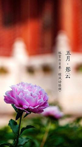 凤仪兽舞成语接龙游戏