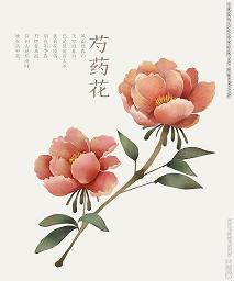 冬日最灿烂的阳光6.1