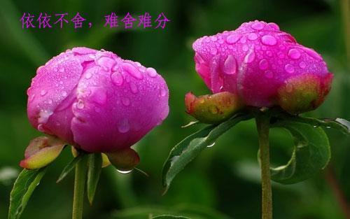 升起心中的太阳