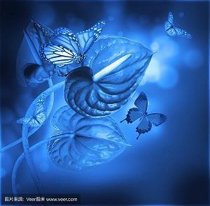 寻找春韵