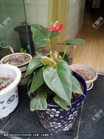 千回百折成语接龙游戏
