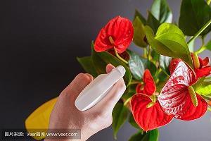 薄祚寒门成语接龙游戏