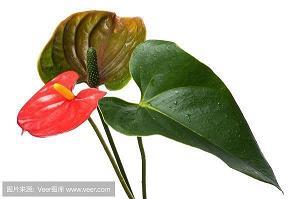 快乐的五一节——看跨海大桥