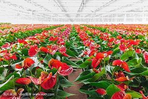 妙不可言造句-用妙不可言怎么造句