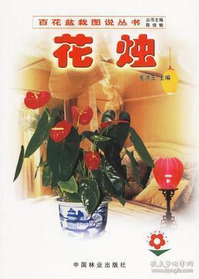 摇旗呐喊造句-用摇旗呐喊怎么造句