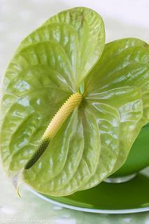 中秋节