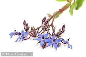 辛辛苦苦成语接龙游戏