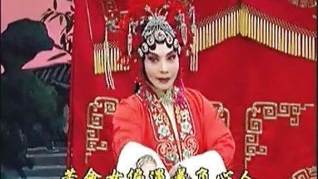 仰望大树