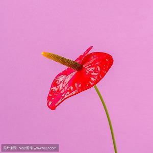 大自然的景色