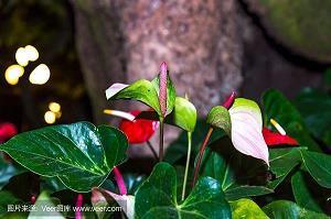 四通八达 打一成语