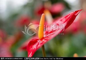 丽江风情游