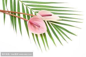国庆节见闻作文七年级