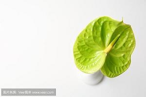 心非巷议成语接龙游戏