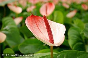 你说我做游戏