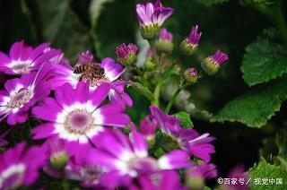 “六一”儿童节