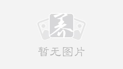 琼枝玉叶成语接龙游戏