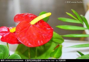 万事皆休成语接龙游戏