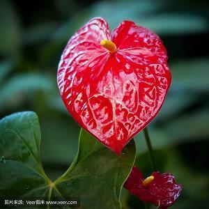 开源节流造句-用开源节流怎么造句