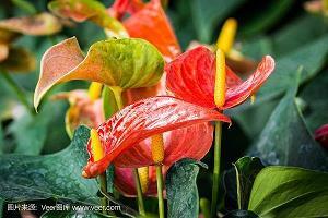 节衣缩食造句-用节衣缩食怎么造句