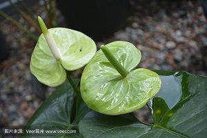 一路有您