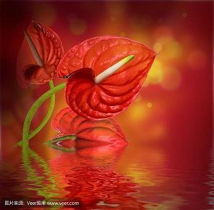 京辇之下成语接龙游戏
