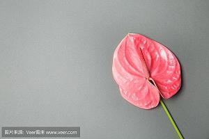 倾听