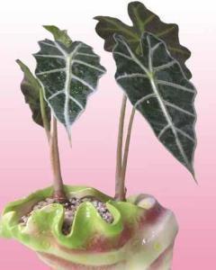 雕虫篆刻成语接龙游戏