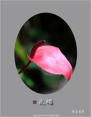 泣下沾襟成语接龙游戏