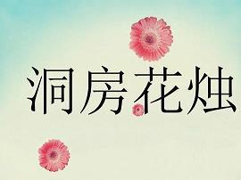 寄鴈传书成语接龙游戏