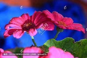 愁潘病沈成语接龙游戏
