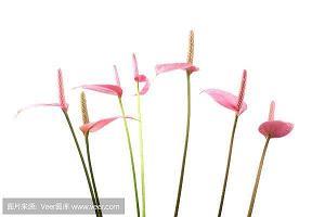 游刃有余成语接龙游戏