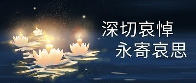 走乡随乡成语接龙游戏