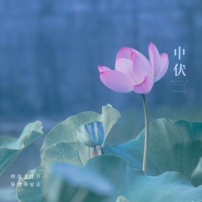 学不沾洽成语接龙游戏