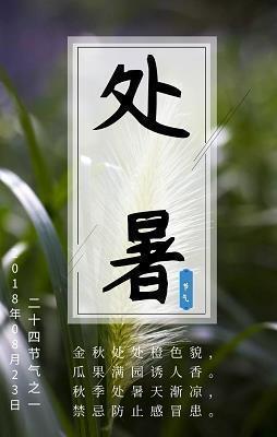 拖泥带水造句-用拖泥带水怎么造句