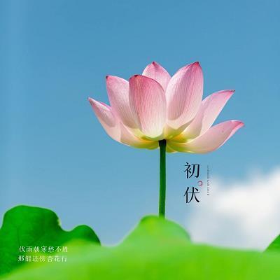 奋发图强造句-用奋发图强怎么造句