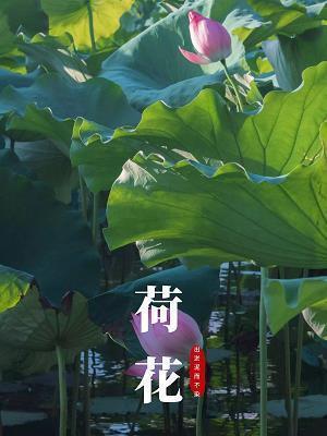 炙肤皲足成语接龙游戏