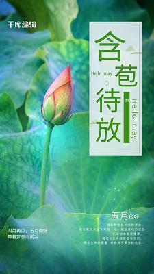 再见，马头岩