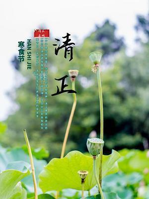 大得人心成语接龙游戏