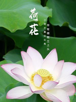介绍抚州