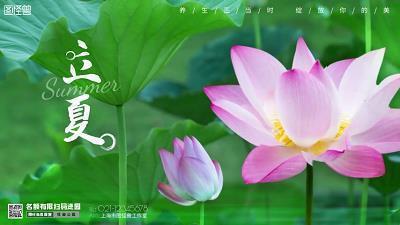 握拳透掌成语接龙游戏