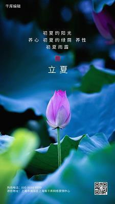 风轻云净成语接龙游戏