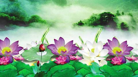 和春天聊聊天